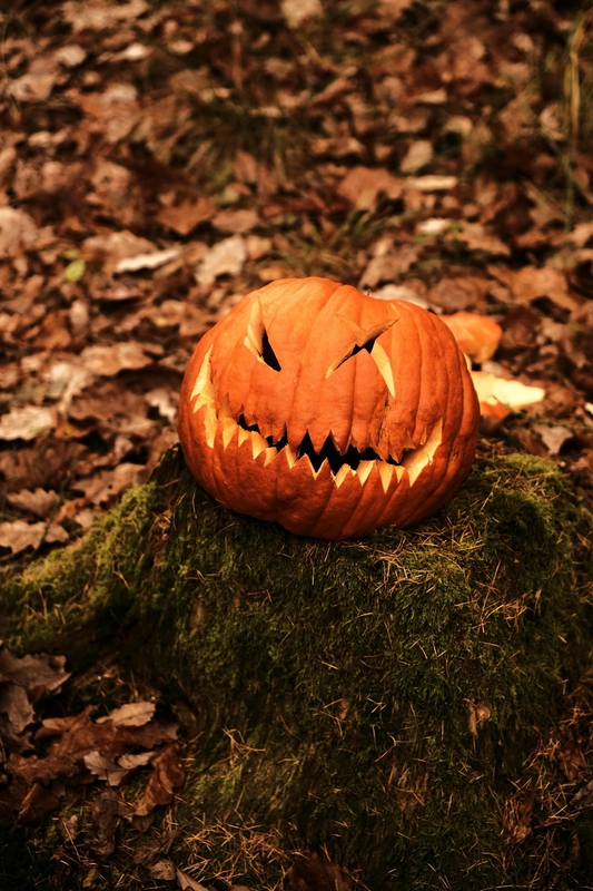 Halloween, bí đỏ, bí ngô, pumpkin, lễ lội hóa trang, lễ hội, festival, sự kiện, event, horrible - Jiri Ikonomidis