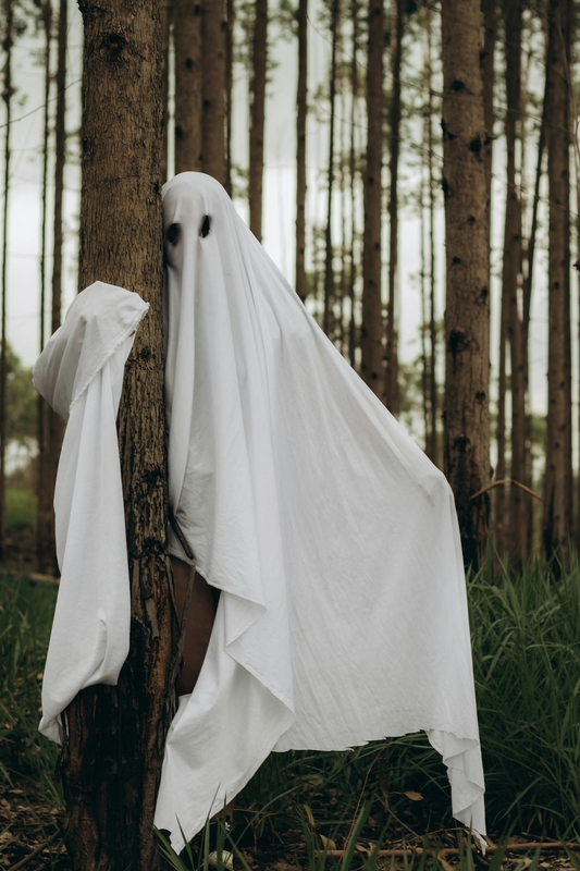 Ma, ghost, con ma, halloween, hóa trang, lễ hội hóa trang, lễ hội ma quái, festival - juliane Monari