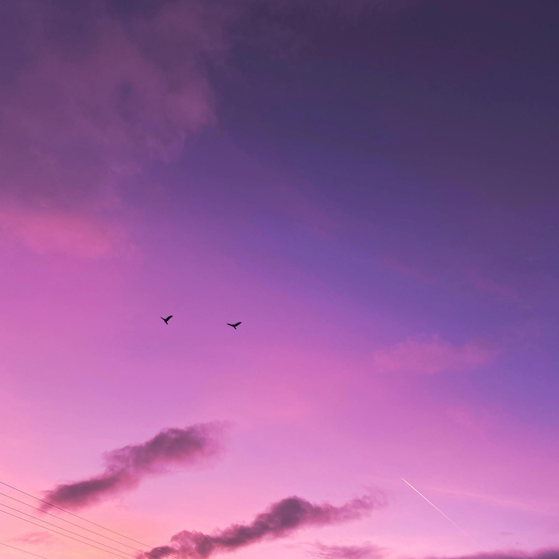 Mây, trời, màu tím, màu hồng, nền, clouds, sky, purple, pink, background -Kadir Akman