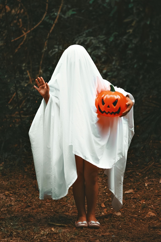 Ma, ghost, con ma, halloween, hóa trang, lễ hội hóa trang, lễ hội ma quái, festival - Lucas Andrade