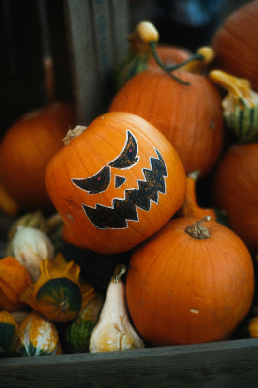 Halloween, bí đỏ, bí ngô, pumpkin, lễ lội hóa trang, lễ hội, festival, sự kiện, event, horrible - Mathias Reding