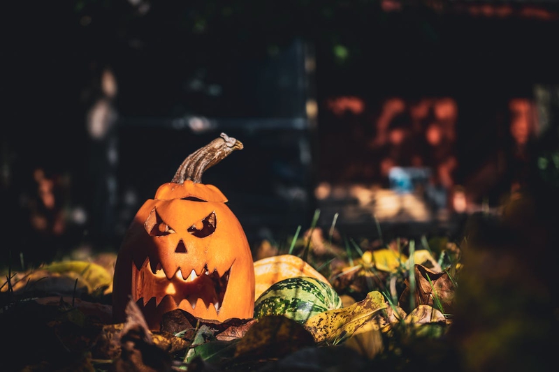 Bí đỏ, trang trí halloween, điêu khắc, kinh dị, lễ hội, pumpkin, halloween decoration, sculpture, horror, festival,  - Gunky 2