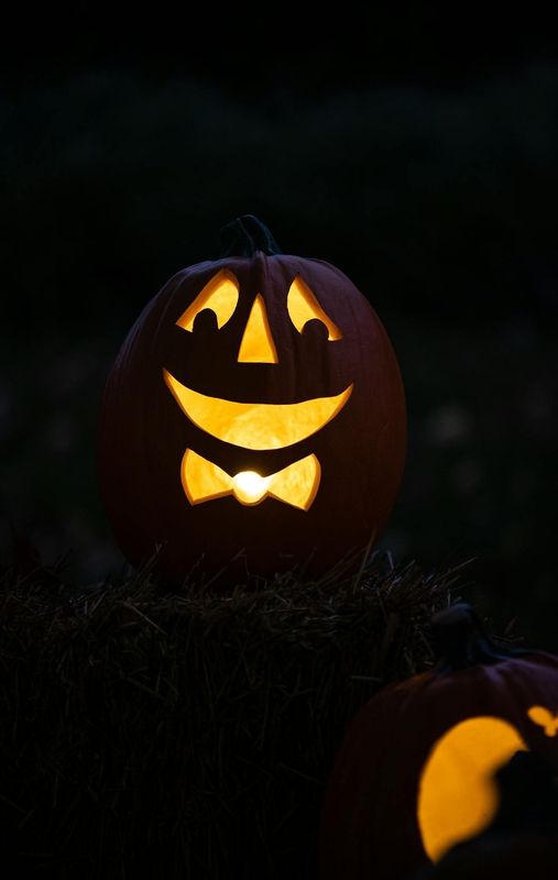 Bí đỏ, trang trí halloween, lễ hội, ánh đèn, đêm tối, điêu khắc, kinh dị, halloween decoration, festival, lights, dark, sculpture, horror  - pixabay 1