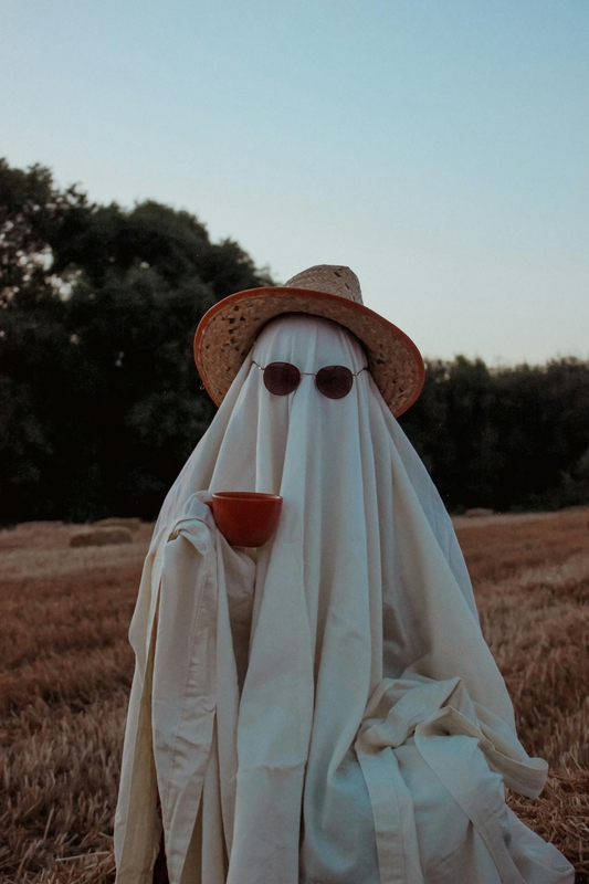 Ma, ghost, con ma, halloween, hóa trang, lễ hội hóa trang, lễ hội ma quái, festival - Ebru DOĞAN 17