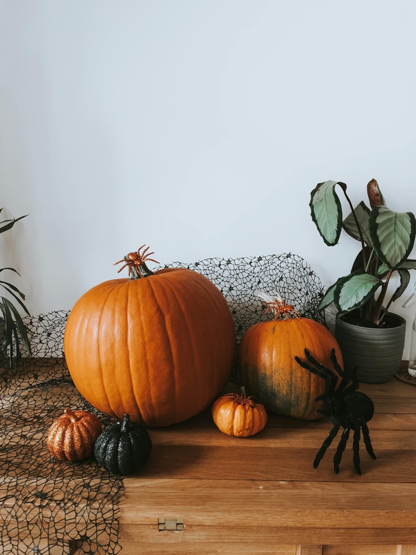 Bí đỏ, halloween, trang trí, không khí halloween, mùa thu, pumpkin, halloween, decoration, halloween atmosphere, autumn - Karola G 10