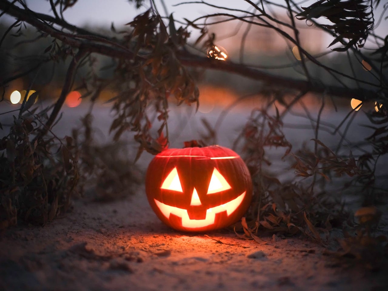 Bí đỏ, đèn bí đỏ, trang trí lễ hội halloween, ánh sáng, kinh dị, đêm tối, pumpkin lantern, halloween decoration, light, horror, dark night - pixabay 1