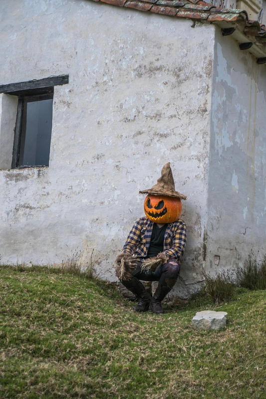 Halloween, hóa trang , kinh dị, hóa trang bí đỏ, bù nhìn, lễ hội hóa trang, costume, horror, pumpkin costume, scarecrow, carnival - Juan Felipe Ramírez 16
