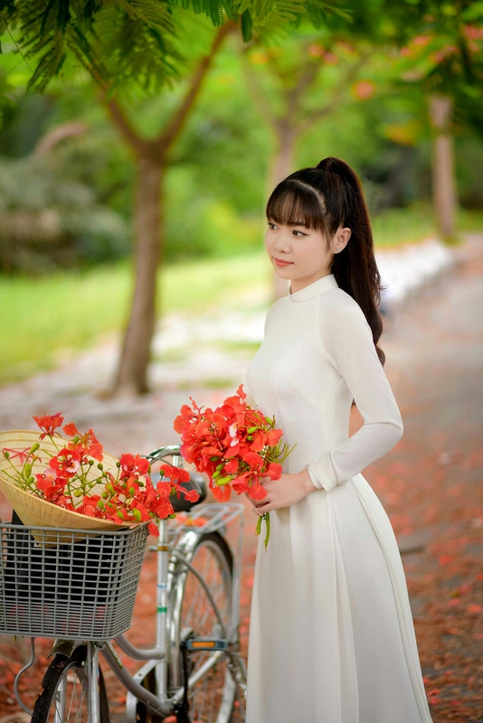 Thiếu nữ, cô gái, áo dài, truyền thống, hoa phượng, Thiếu nữ, cô gái, áo dài, truyền thống, hoa phượng - Phát trương 3