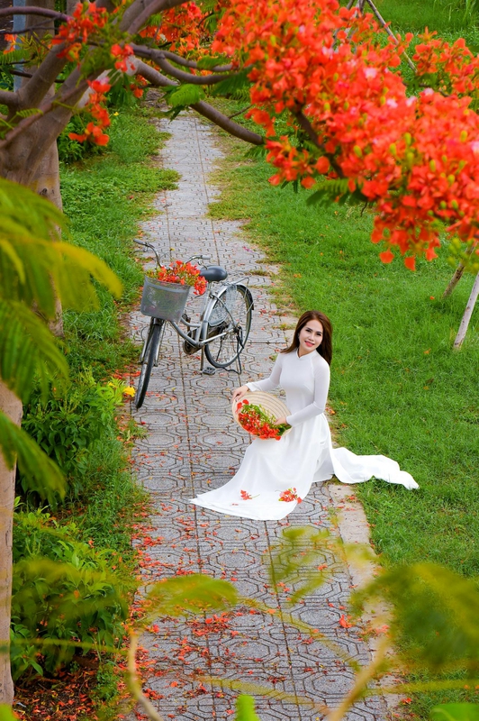 Thiếu nữ, cô gái, áo dài, truyền thống, hoa phượng, Thiếu nữ, cô gái, áo dài, truyền thống, hoa phượng - Phát trương