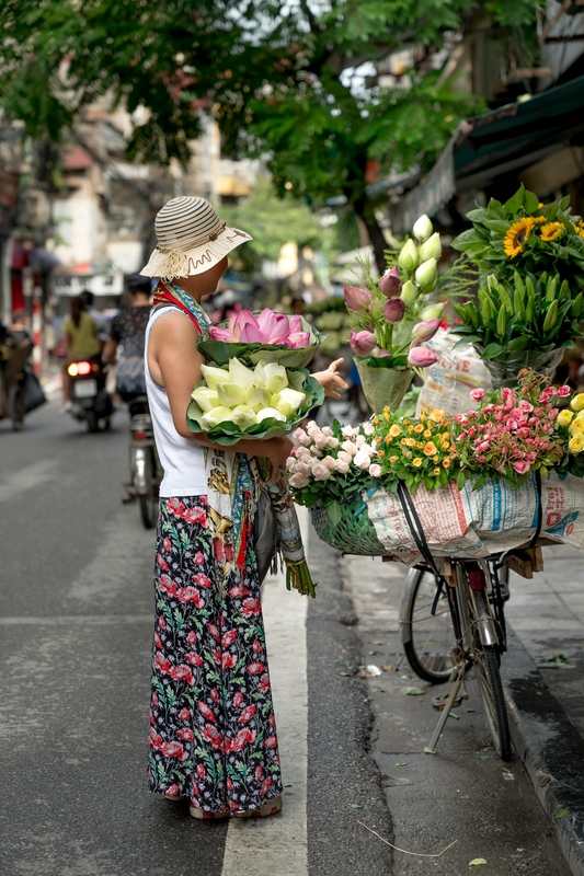 Hà Nội, cổng làng, làng cổ Hà Nội, Việt Nam, phong cảnh Việt Nam, xe hoa, chợ hoa - Quang Nguyen Vinh