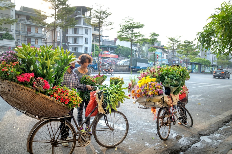 Hà Nội, cổng làng, làng cổ Hà Nội, Việt Nam, phong cảnh Việt Nam, xe hoa, chợ hoa - Quang Nguyen Vinh 3