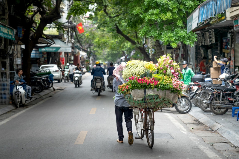 Hà Nội, cổng làng, làng cổ Hà Nội, Việt Nam, phong cảnh Việt Nam, xe hoa, chợ hoa - Quang Nguyen Vinh 2