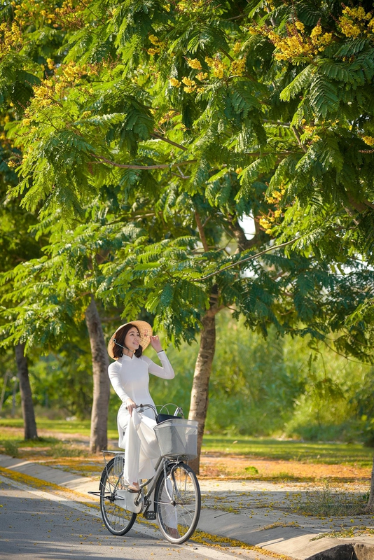 Thiếu nữ, cô gái, áo dài, truyền thống, xe đạp, young lady, girl, ao dai, tradition, bicycle - Phát trương