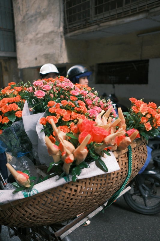 Xe hoa, xe bán hoa, Hà Nội, Việt Nam, phong cảnh Việt Nam, flower - Thuan Pham 2