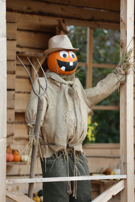 Halloween, hóa trang , kinh dị, hóa trang bí đỏ, bù nhìn, lễ hội hóa trang, costume, horror, pumpkin costume, scarecrow, carnival - Toni Canaj 1