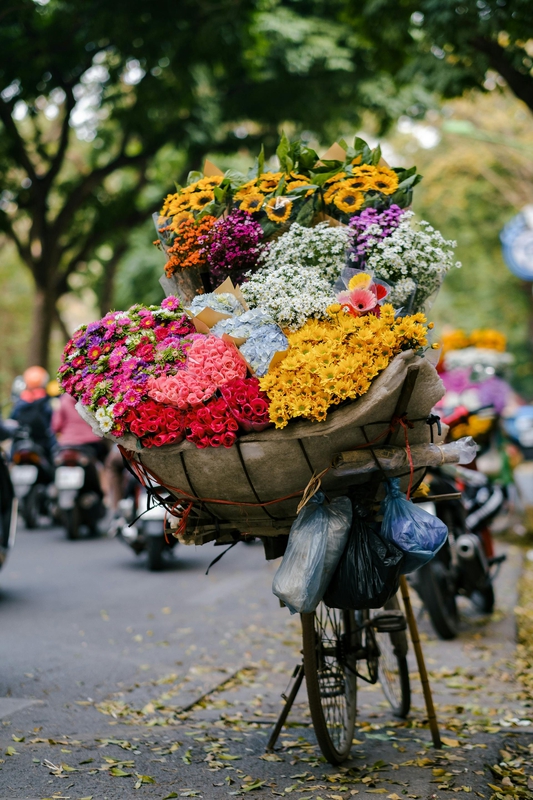 Xe hoa, xe bán hoa, Hà Nội, Việt Nam, phong cảnh Việt Nam, flower - Tu nguyen