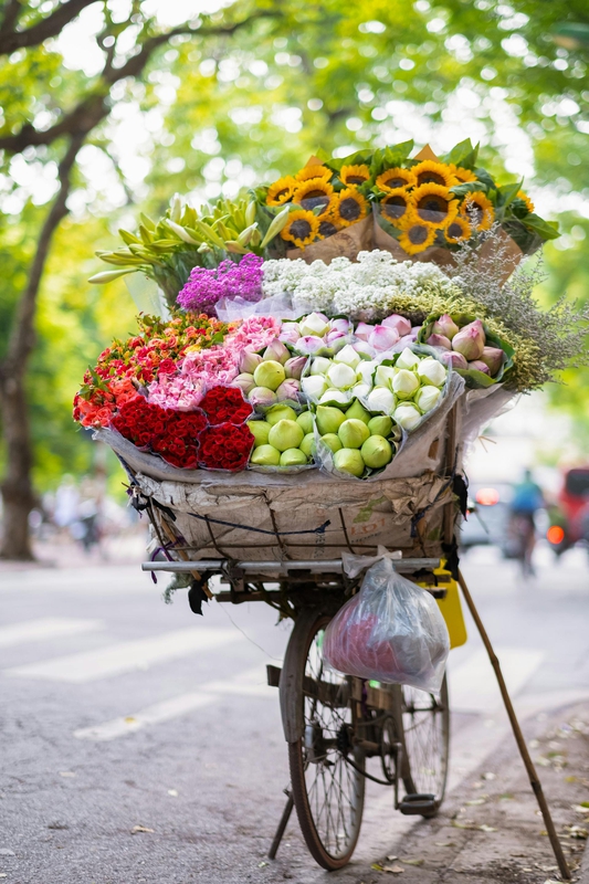 Xe hoa, xe bán hoa, Hà Nội, Việt Nam, phong cảnh Việt Nam, flower - Tu nguyen 1