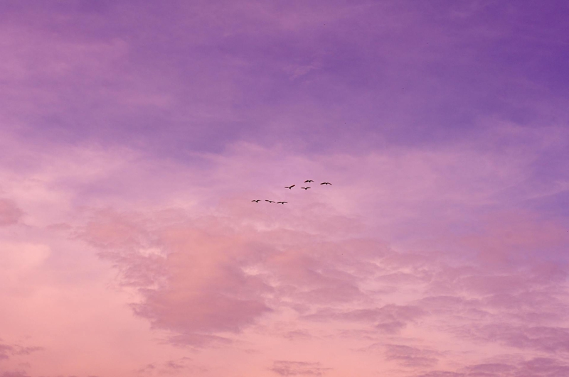 Mây, trời, màu tím, màu hồng, nền, clouds, sky, purple, pink, background -Ricky Ikhtifar Prihantono