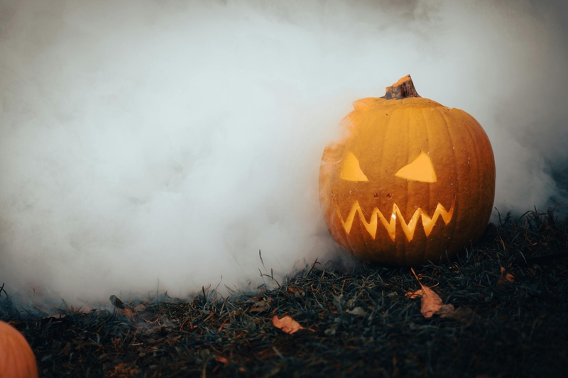 Bí đỏ, bí ngô, pumpkin, halloween, lễ hội hóa trang, lễ hội ma quái, festival - Sergio Zhukov
