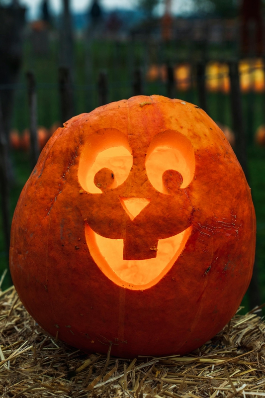 Halloween, bí đỏ, bí ngô, pumpkin, lễ lội hóa trang, lễ hội, festival, sự kiện, event, horrible - Susanne Jutzeler