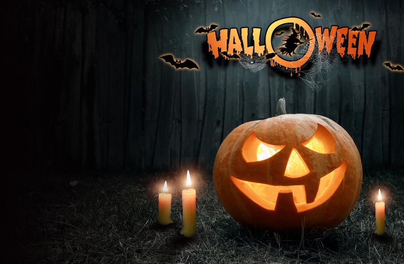 Halloween, bí đỏ, đèn bí đỏ, trang trí halloween, dễ thương, pumpkin, pumpkin lantern, halloween decoration, cute, - Avanto