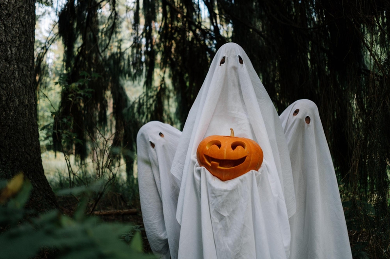 Halloween, hóa trang, con ma, dễ thương, hài hước, costume, ghost, cute, funny - Tiny