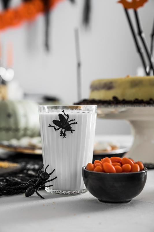 Halloween, nước, con nhện, tiệc halloween, trang trí halloween, wish, spider, halloween party, halloween decoration- Risk