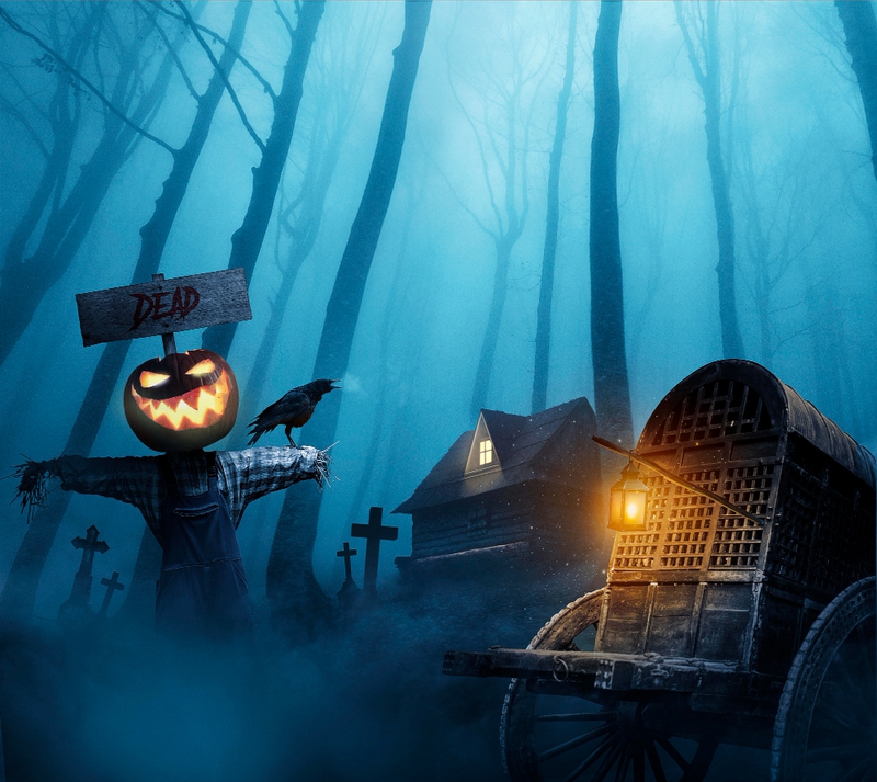 Halloween, khung cảnh halloween, bí đỏ, ngôi mộ, kinh dị, halloween scene, pumpkin, grave, horror - MinhLe