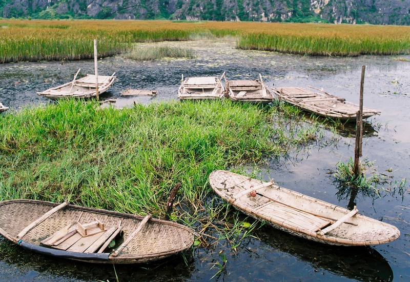 Thuyền, Sông, Cỏ, Boats, River, Grass- xuanduongvan87