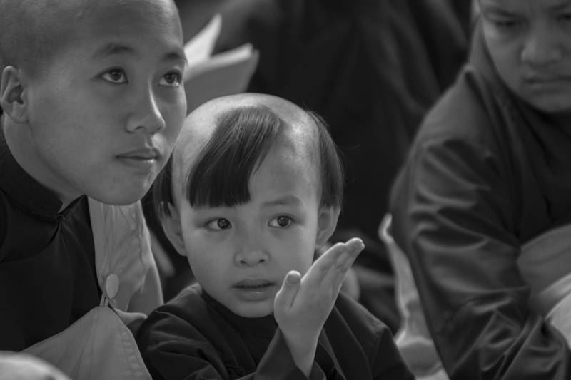 Phật giáo, Nhà sư, Tiểu sư, Buddhism, Monk, Little monk- Quangbaophoto