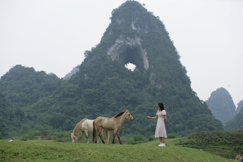 Cô gái, con ngựa, núi, girl, horse, mountain - xuanduongvan87