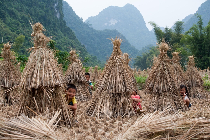 Trẻ em, children, miền quê, countryside- xuanduongvan87 1