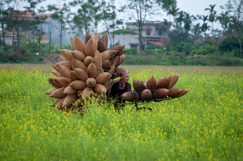 Đan rổ, Thủ công mỹ nghệ, Basket weaving, Handicraft, Handiwork- xuanduongvan87Đan rổ, Thủ công mỹ nghệ, Basket weaving, Handicraft, Handiwork- xuanduongvan87 2