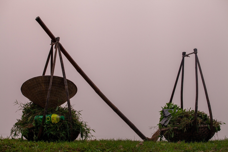 Cái đòn gánh, nón lá, bãi cỏ, shoulder pole,conical hat, grass- xuanduongvan87