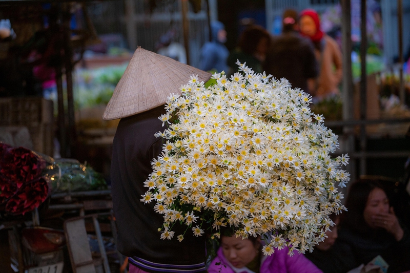 Xe đạp hoa, giỏ hoa, Hà Nội, flower bicycle, flower basket, Hanoi- xuanduongvan87 4