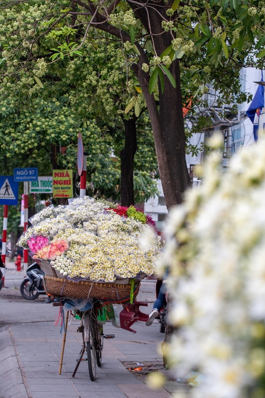Xe đạp hoa, giỏ hoa, Hà Nội, flower bicycle, flower basket, Hanoi- xuanduongvan87