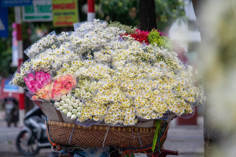 Xe đạp hoa, giỏ hoa, Hà Nội, flower bicycle, flower basket, Hanoi- xuanduongvan87 2