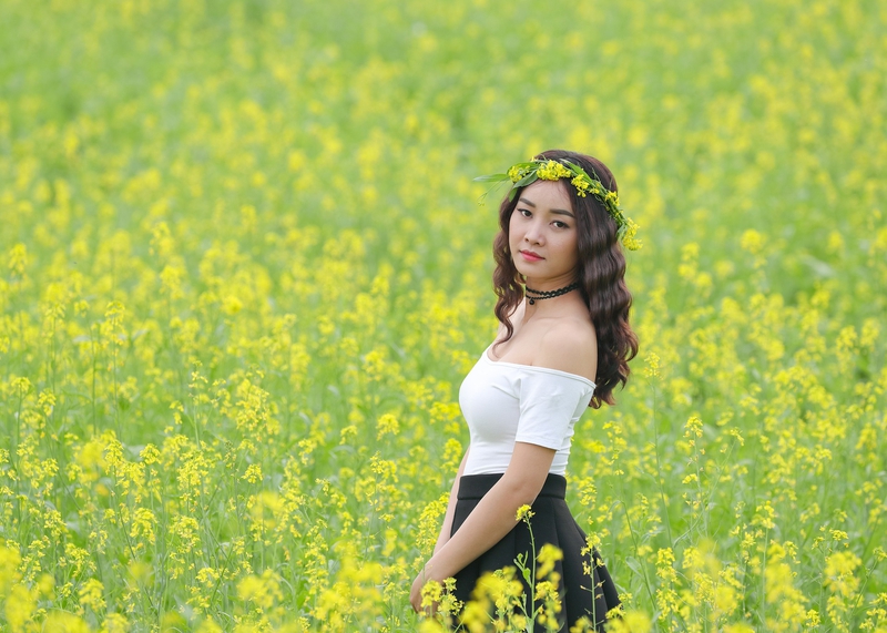 Cô gái, hoa cải, sương mù, đồng cỏ,Girl, rape flower, fog, meadow- ThuyHaBich