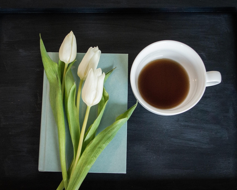 Tulip, sách, book, nhật kí, notebook, hoa, flower- hudsoncrafted 2