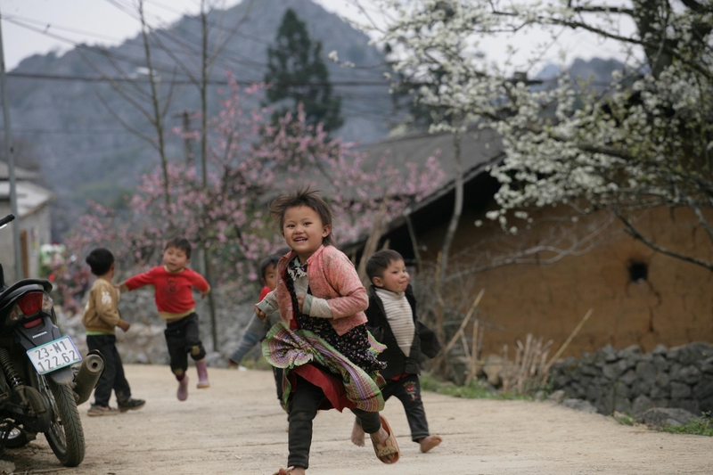 Trẻ em, em bé, vùng cao, miền núi, dân tộc, children, babies, highlands, mountainous areas, ethnic groups - xuanduongvan87 7