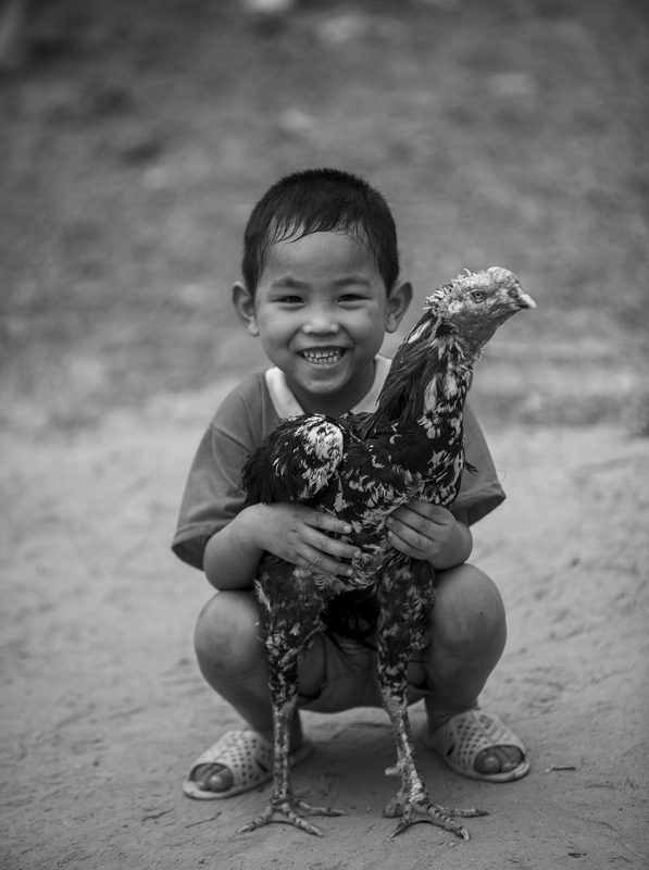 Trẻ em, Gà, Chân dung, Kid, Chicken, Portrait- Quangbaophoto