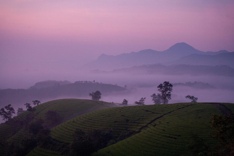 Núi, mây, sương mù, mountains, clouds, fog- xuanduongvan87 3