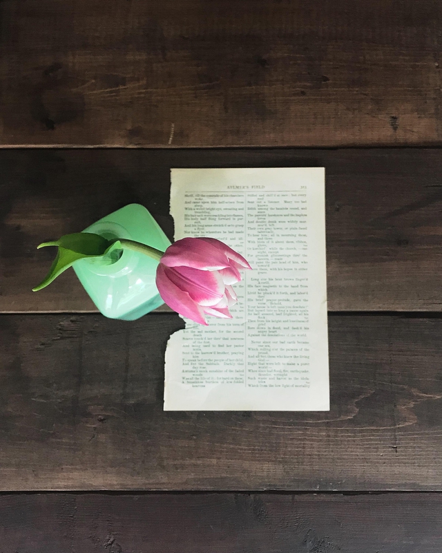 Tulip, sách, book, nhật kí, notebook, hoa, flower- hudsoncrafted 7