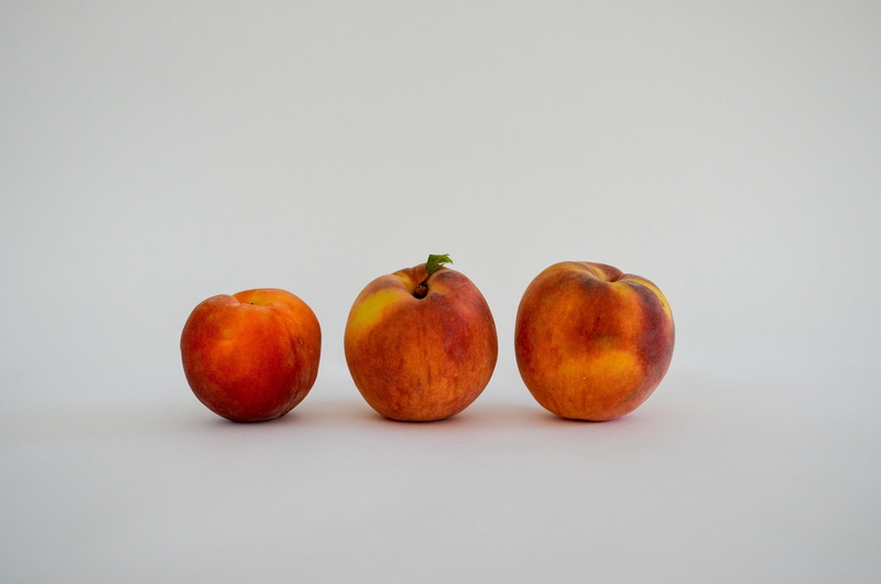 Táo, apple, trái cây, fruit- hudsoncrafted 4