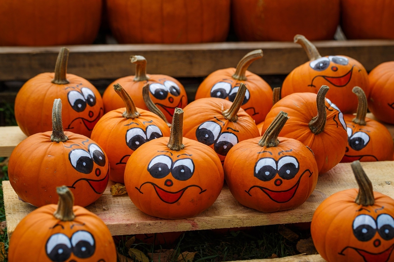 Halloween, dễ thương, lễ hội hóa trang, bí đỏ, cute, carnival, pumpkin - HPDorn