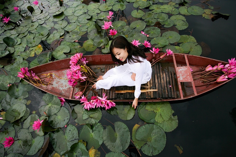 Cô gái, nữ, girl, women, áo dài, hoa súng, hoa, water lily, flower- xuanduongvan87 2