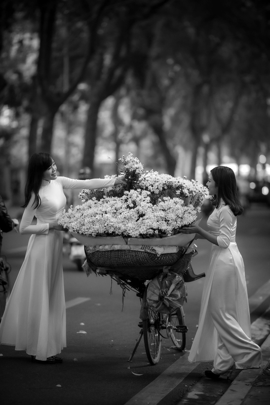 Cô gái, áo dài, xe đạp hoa, đường, Girl, Ao Dai, flower bicycle, Road- Quangbaophoto