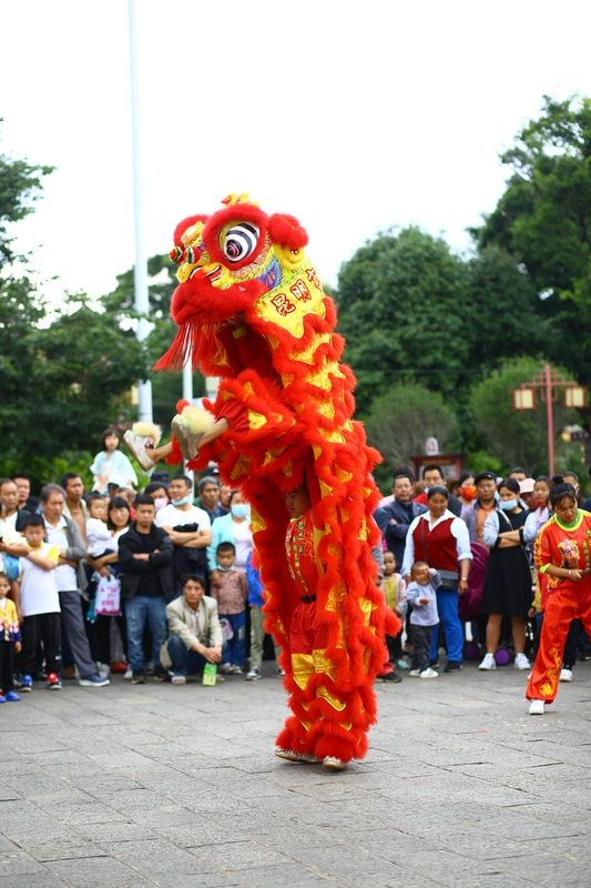 Lân, múa lân,  lion dance, tết, xuân, spring- Andy Lee