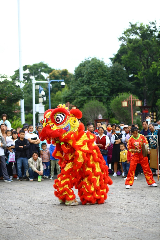 Lân, múa lân,  lion dance, tết, xuân, spring- Andy Lee 1