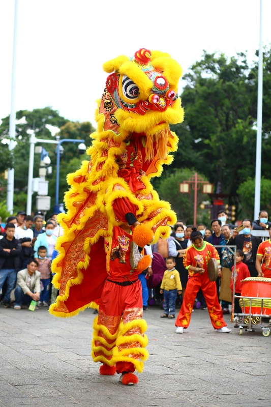 Lân, múa lân,  lion dance, tết, xuân, spring- Andy Lee 2